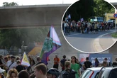 Hunderte demonstrieren gegen neue Carolabrücke als breite "Autobahn"