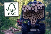Umweltschützer entsetzt: Sachsenforst verzichtet fortan auf FSC-Siegel für sein Holz