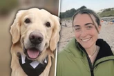 Hunde statt Doktorin: Frau wirft Studium hin und startet verrückten Job