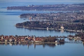 Blaualgen in Seitenarm von Bodensee: Gefahr für Menschen und Hunde