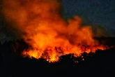 Waldbrand in Gebiet mit Kampfmitteln bei Bad Kreuznach: Explosionen und Evakuierung