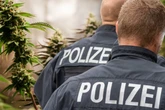 Verrückter Zufalls-Fund: Chemnitzer Polizei entdeckt große Indoor-Cannabis-Plantage