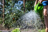 Zu Trocken: Wasserentnahme in Sachsen-Anhalt vielerorts eingeschränkt