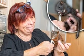 Braucht ein Hörnchen Hilfe, so ist Frau Gräfe sofort zur Stelle