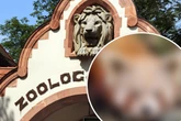 Beginn einer neuen Ära: Ein unbekanntes Gesicht zieht in den Zoo Leipzig