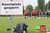 Rathaus plant biodiverse Plätze: Werden Sportler bald beim Training zerstochen?