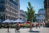 Kurz mal an der Marktlinde sitzen? Schön wär&#039;s ...
