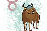Wochenhoroskop Stier: So wird die nächste Woche vom 30.6. bis 6.7.2025