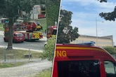 Aufregung an der Elbe: Landtag evakuiert, doch die Feuerwehr gibt Entwarnung