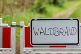 Waldbrandgefahr in Thüringen: Das solltet Ihr beachten