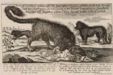 Heute vor 259 Jahren: Der ungelöste Mythos der Bestie von Gévaudan