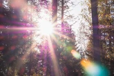 Horoskop morgen: Tageshoroskop kostenlos für den 16.9.2025