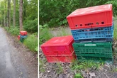 Katzen in Kisten ausgesetzt: Tierheim Freital bittet um Hinweise