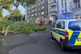 Frau bei Unwetter in Berlin von Baum erschlagen: Chaos in der Hauptstadt