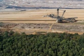 Weichen gestellt: So geht es mit dem Hambacher Forst in Zukunft weiter