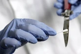 Justiz-Vorstoß in Süddeutschland: Soll DNA auch auf mögliche Täter-Herkunft untersucht werden?