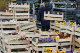 Magdeburger Gartencenter leer geräumt! Wer hat die Diebe gesehen?