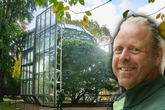 Über 250 Jahre alt: Dresdner Pflanze sitzt jetzt im Glashaus