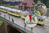 Diese Veranstaltungen für die ganze Familie bietet Magdeburg am Sonntag