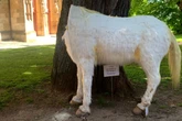 Nächtlicher Angriff auf Fabelwesen: Einhorn vor Museum geköpft