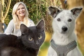 "Tierisch tierisch" im Osten von Sachsen: Wer gibt Mika, Lizzi und ihren Freunden ein Zuhause?