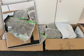 Gras-Opa will 19-Kilo-Marihuana-Paket abholen, dann folgt böse Überraschung
