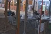 Einbruch im Tierheim wird zur Tragödie: Ein Hund tot, mehrere verletzt