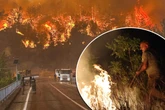 Der Süden Europas brennt! Waldbrände wüten - Tausende Menschen auf der Flucht