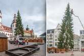 An diesem Tag wird der Chemnitzer Weihnachtsbaum aufgestellt