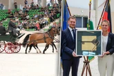 Sachsen investiert in topmoderne Reithalle: Neues Prunkstück fürs Moritzburger Gestüt