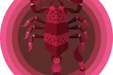 Monatshoroskop Skorpion: Dein Horoskop für Juli 2026
