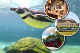 6 Tipps, um den Sonntag noch einmal richtig zu genießen!