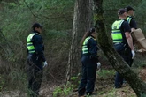 Tierquäler am Werk? Frau macht grausige Entdeckung im Wald