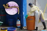 Ebola-Virus breitet sich weiter aus: Fast 1000 bestätigte Todesfälle