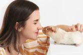 Willkommen daheim: Ein neues Meerschweinchen liebevoll eingewöhnen