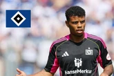 HSV-Profi sorgt nach Zittersieg mit kurioser Aussage für Irritationen