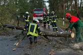 Feuerwehr im Dauereinsatz: Sturmtief zieht durch Sachsen-Anhalt!