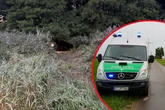 Leiche in Wald entdeckt: Polizei hat grausigen Verdacht