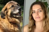 Frau und drei Geschwister leiden Jahre an mysteriöser Krankheit: Ihr Hund ist der Schlüssel