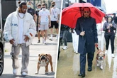 Roscoe starb in seinen Armen: Lewis Hamilton in tiefer Trauer