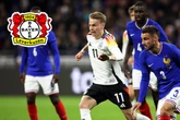 Bayer auf Millionen-Jagd! Leverkusen an Nationalspieler dran