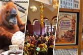 Von Ostermarkt bis Eiersuche: Das ist in Leipzig am Osterwochenende los