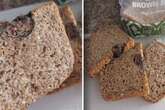 Frau kauft Toastbrot im Supermarkt: Doch was sie darin findet, ist einfach nur widerlich