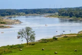 Pegelstände in Sachsen-Anhalt sinken durch extreme Hitze