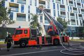 Brand in der Neustadt: Feuerwehr hat alle Hände voll zu tun