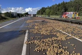 Kartoffel-Blockade nach schwerem Unfall auf A9: Fahrspuren wieder freigegeben