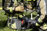 Feuerwehr holt Kätzchen aus Brandwohnung: Lösten Tiere das Feuer selbst aus?