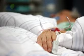 Seltenes Borna-Virus in Bayern: Mann gestorben, zweiter kämpft noch um Leben