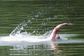 Dürfen die das überhaupt? Mann geht nackt baden, Ordnungsamt nimmt ihm Klamotten weg!