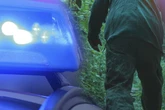 Zeugen verfolgen Einbrecher in Dresden-Dölzschen, dann fällt plötzlich ein Schuss